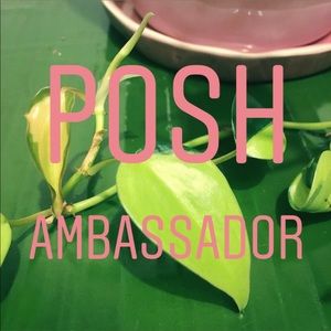 Posh Ambassador Status